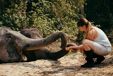 Vang Vieng Elephant Sanctuary Experience