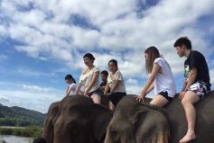 Slow Boat to Pak Ou Cave, Elephant Experience and Kuang Si Falls Fullday